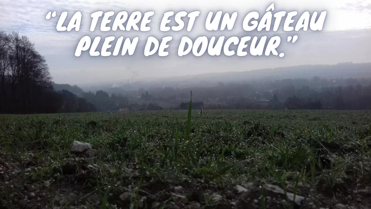 Un Peu De Douceur Dans Ce Monde De Brutes Signification Sortie en forêt : Un peu de douceur dans ce monde de brutes.