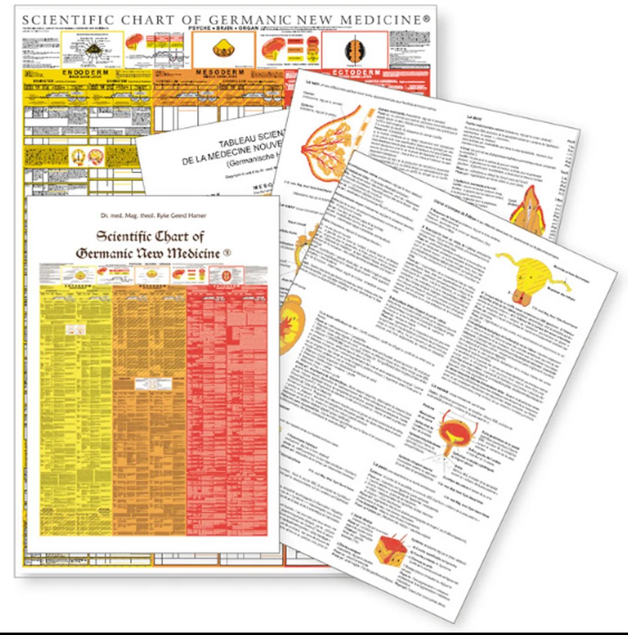 Scientific Chart of Germanic New Medicine® - Germanische Heilkunde®, Dr ...