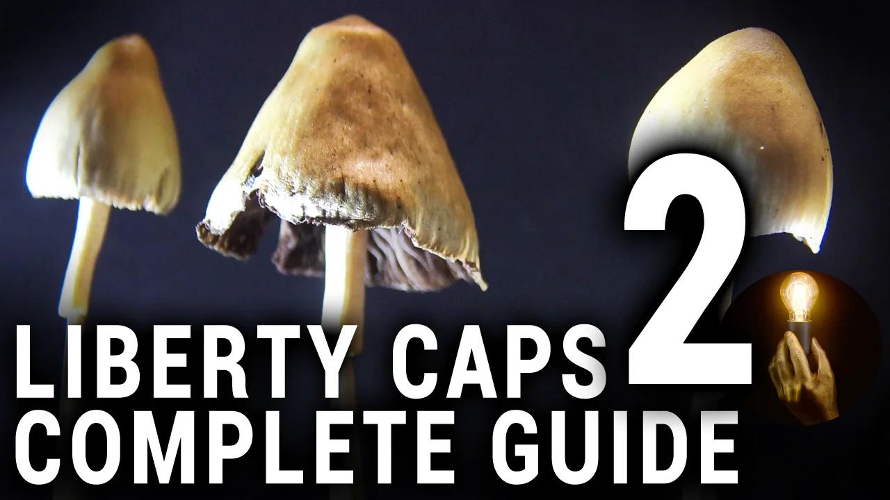 Liberty Caps Complete guide part 2 of 3