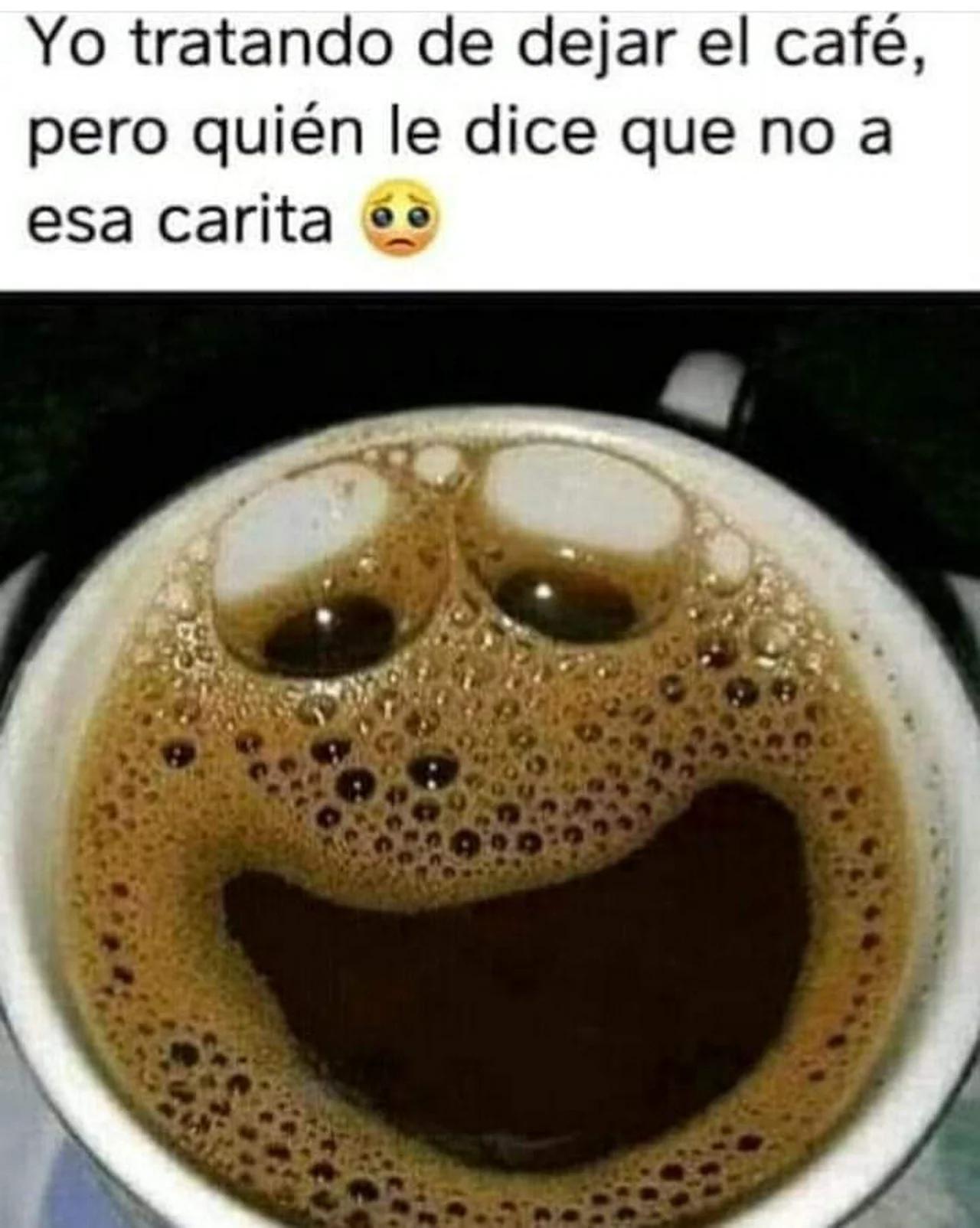 lbry-meme-café