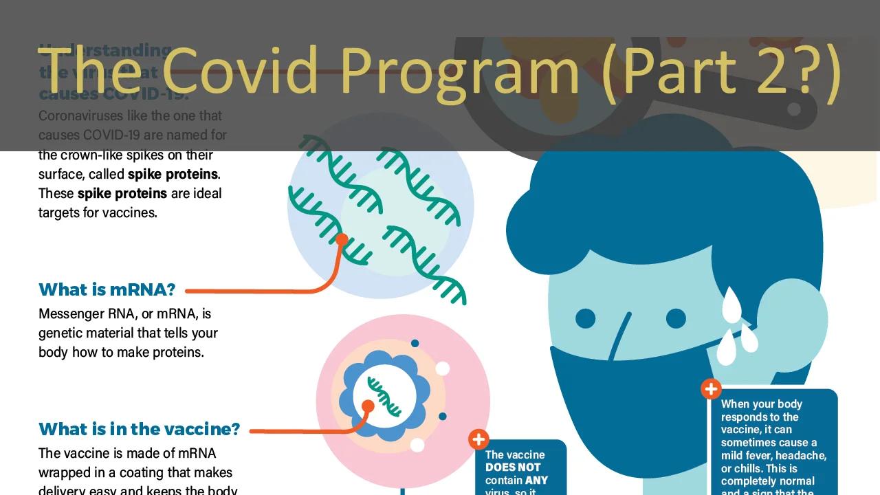 The Covid Program 2(?)