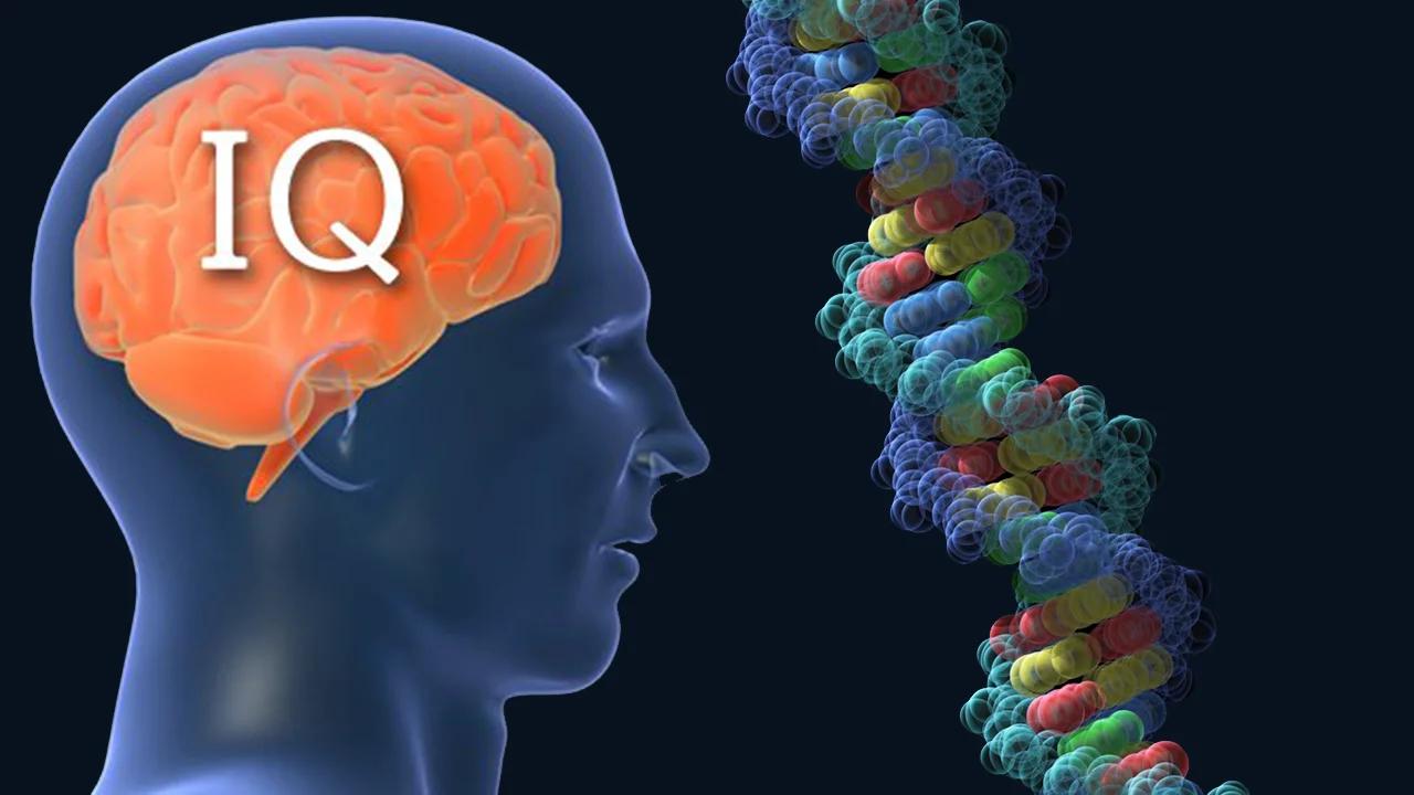 Does DNA influence IQ and behavior?