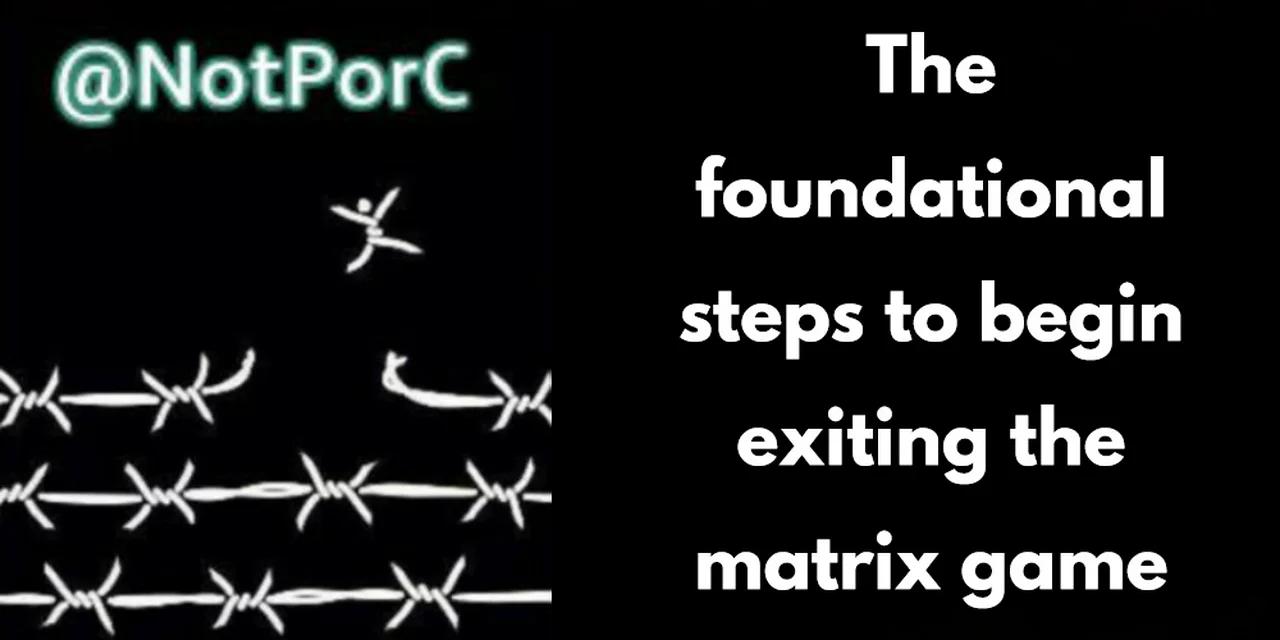 The Fundamental Steps to Begin Exiting the Matrix Game