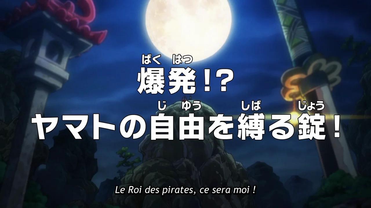 One piece 993 vostfr