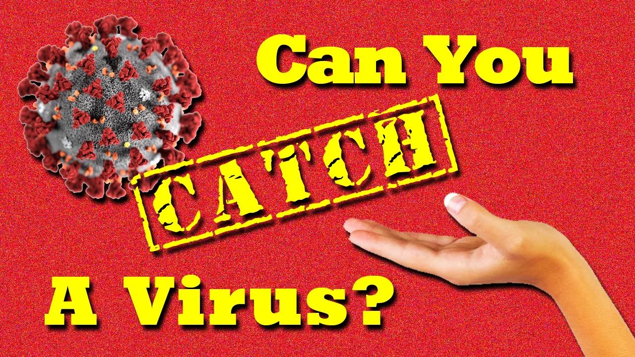 can-you-catch-a-virus