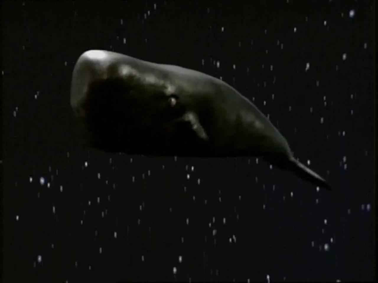 In Plain English: The Clinical Takeaway