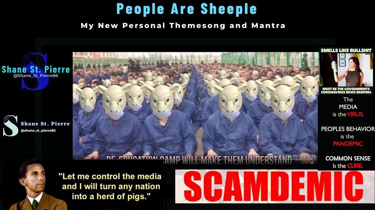 People Are Sheeple - My New Theme Song and Personal Mantra