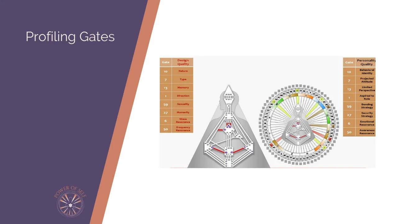 Human Design Profiling Gates