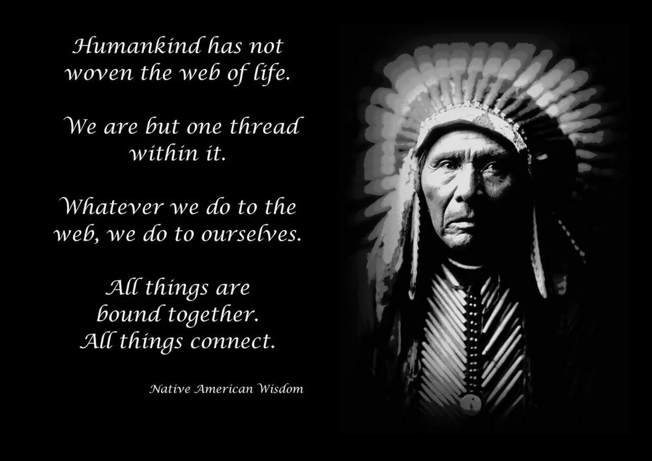 Native american wisdom collection