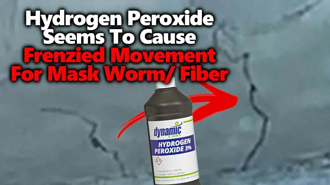 new-black-worm-like-mask-fiber-research-video-erratic-movement-w