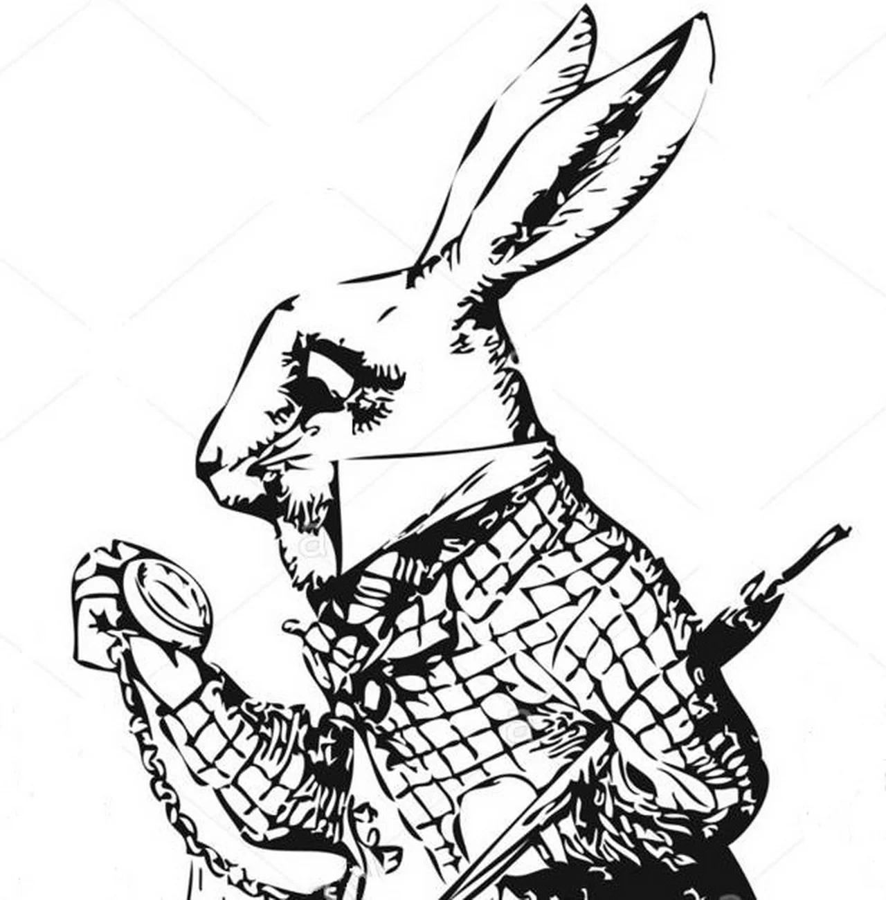 Follow The White Rabbit Madison Beer