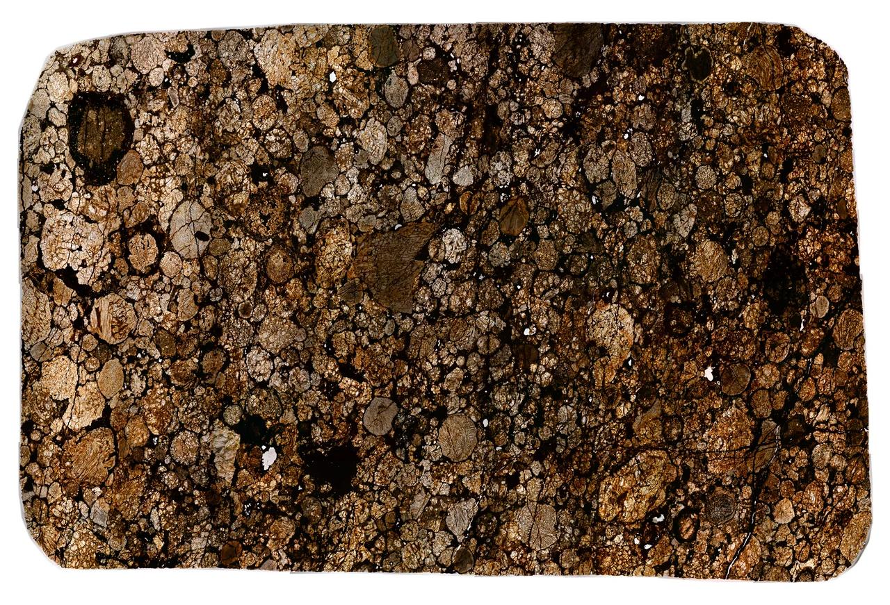 Santa Vitoria do Palmar Meteorite Thin Section Gigapixel