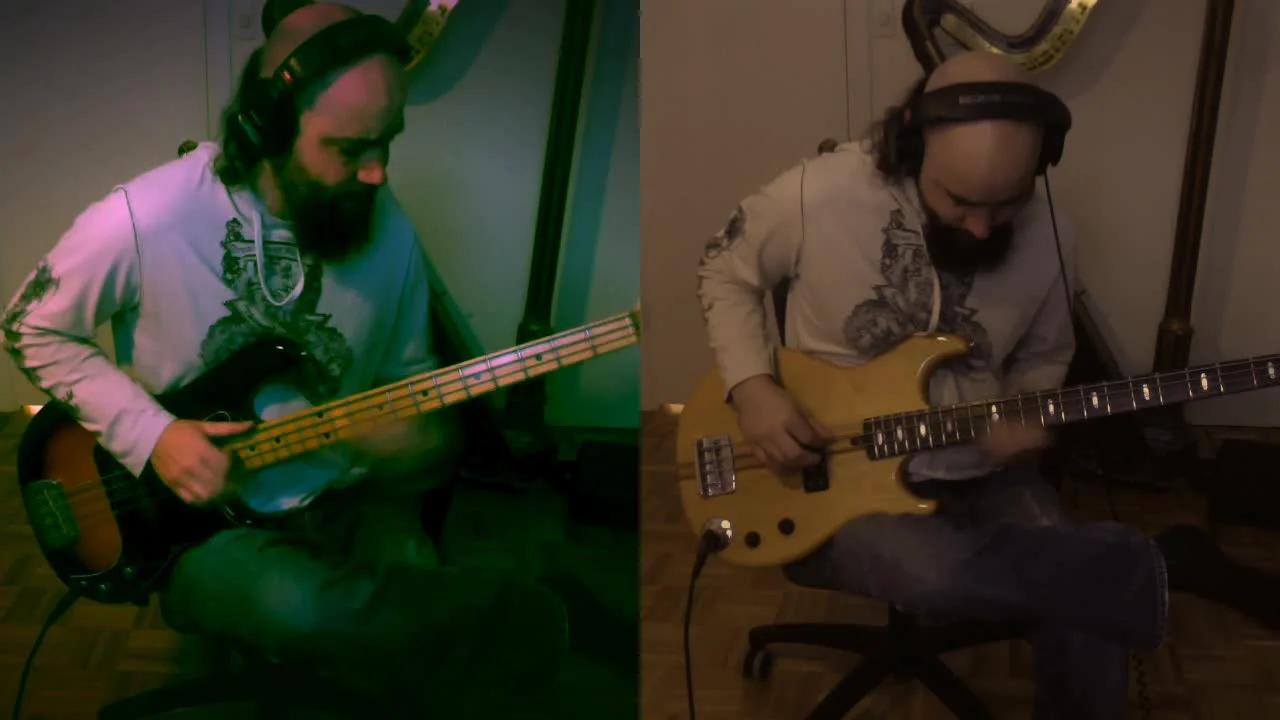 Rammstein Rosenrot bass cover
