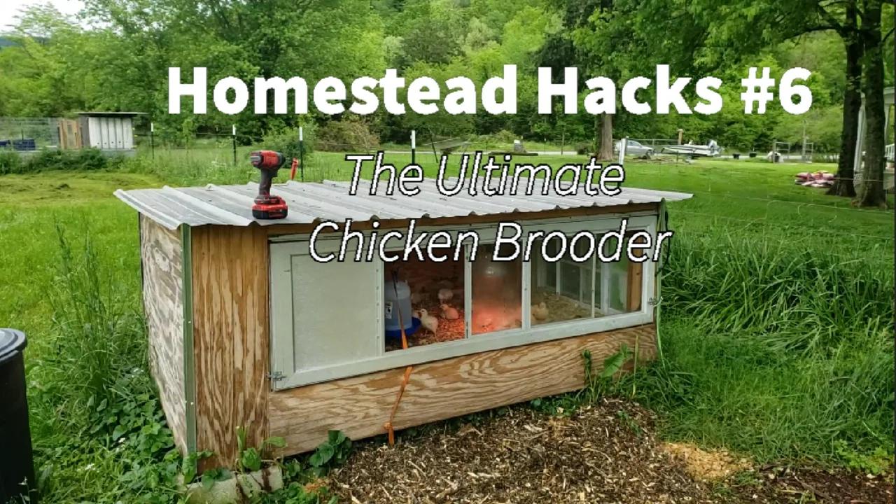 Homestead Hacks 6: The Ultimate Chicken Brooder
