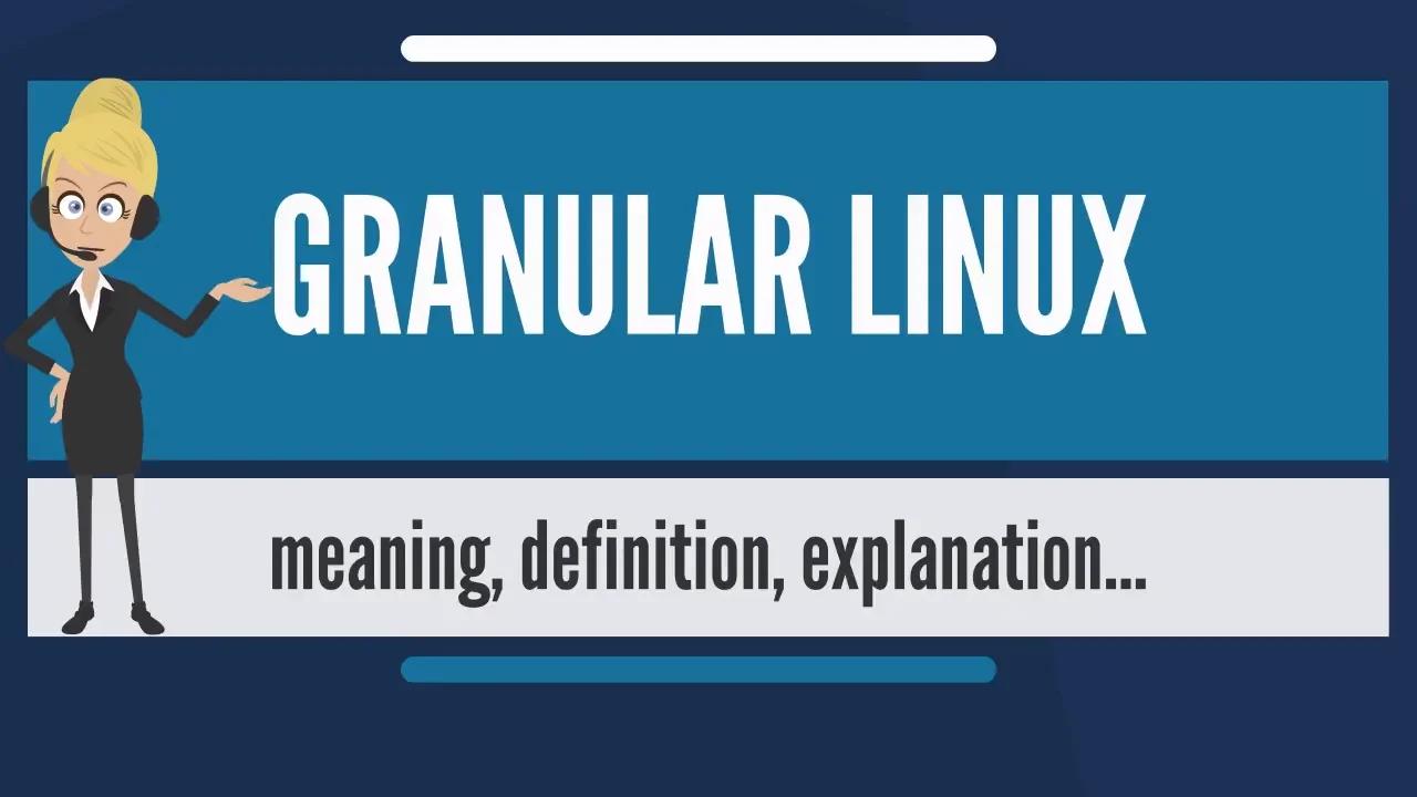 What is GRANULAR LINUX?