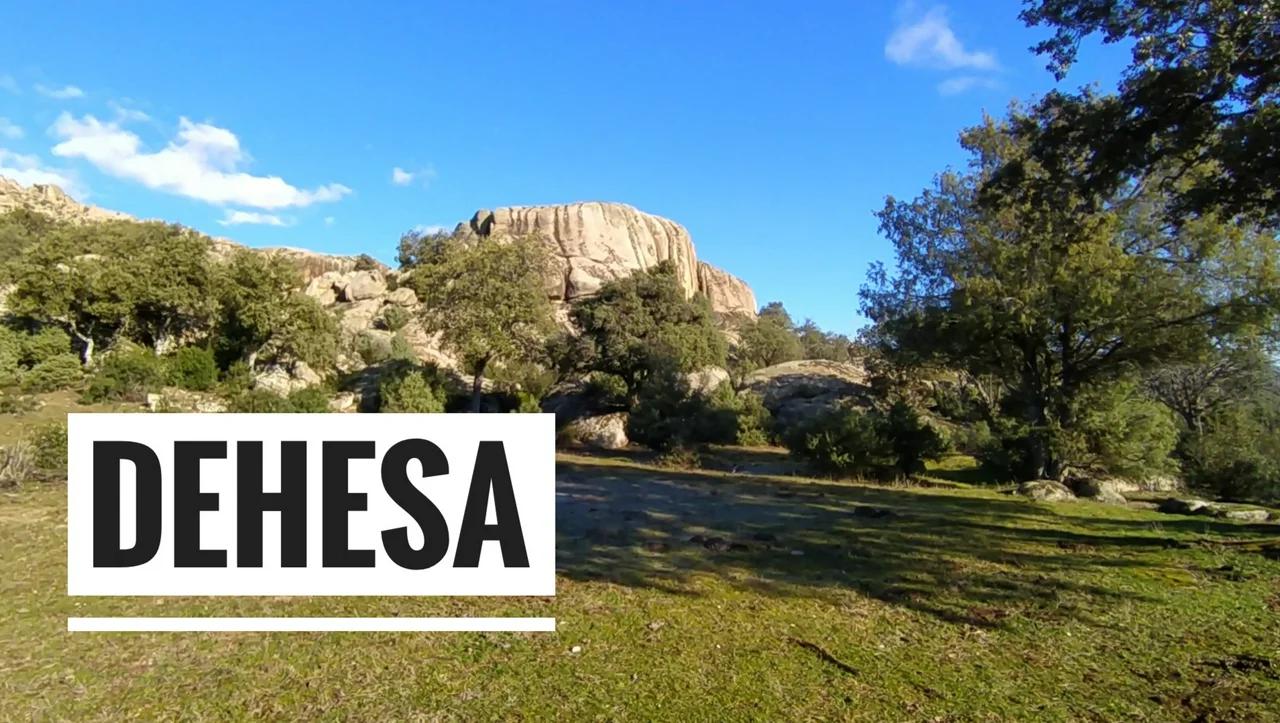 Dehesa