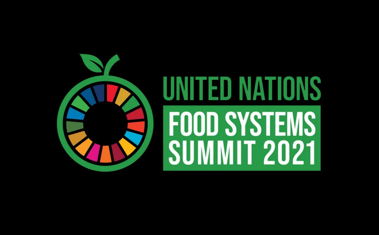 Exposing the UN Food Summit as Corporate Colonization + Activation Tour