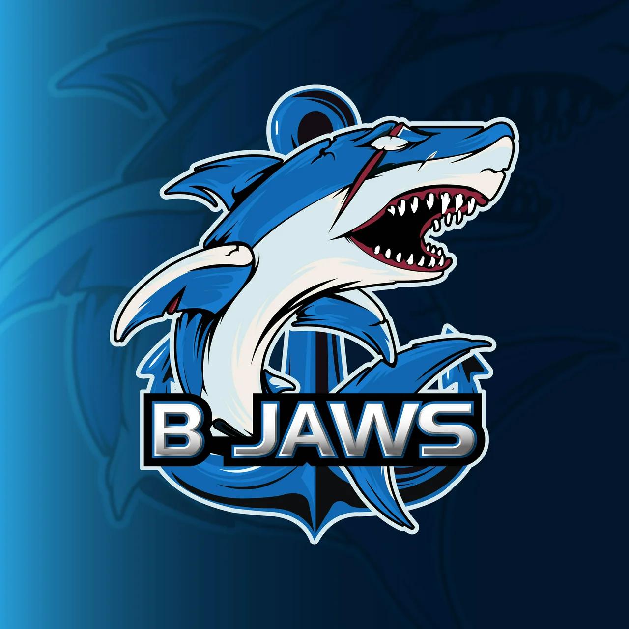 B JAWS