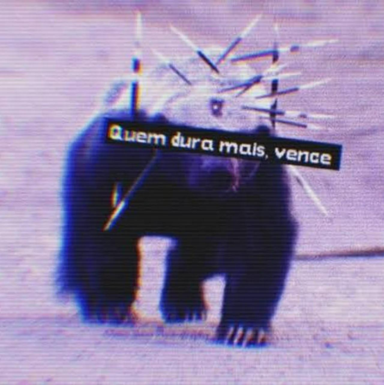 Yan