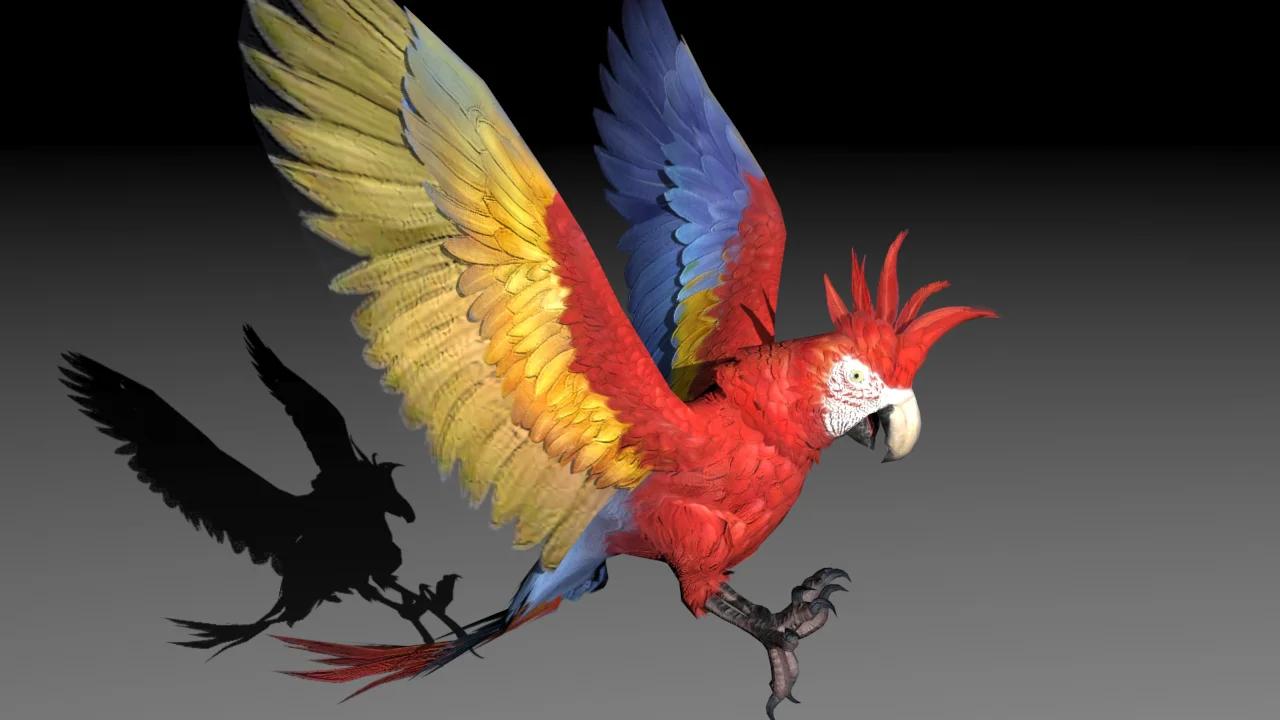 3D Parrot Animated