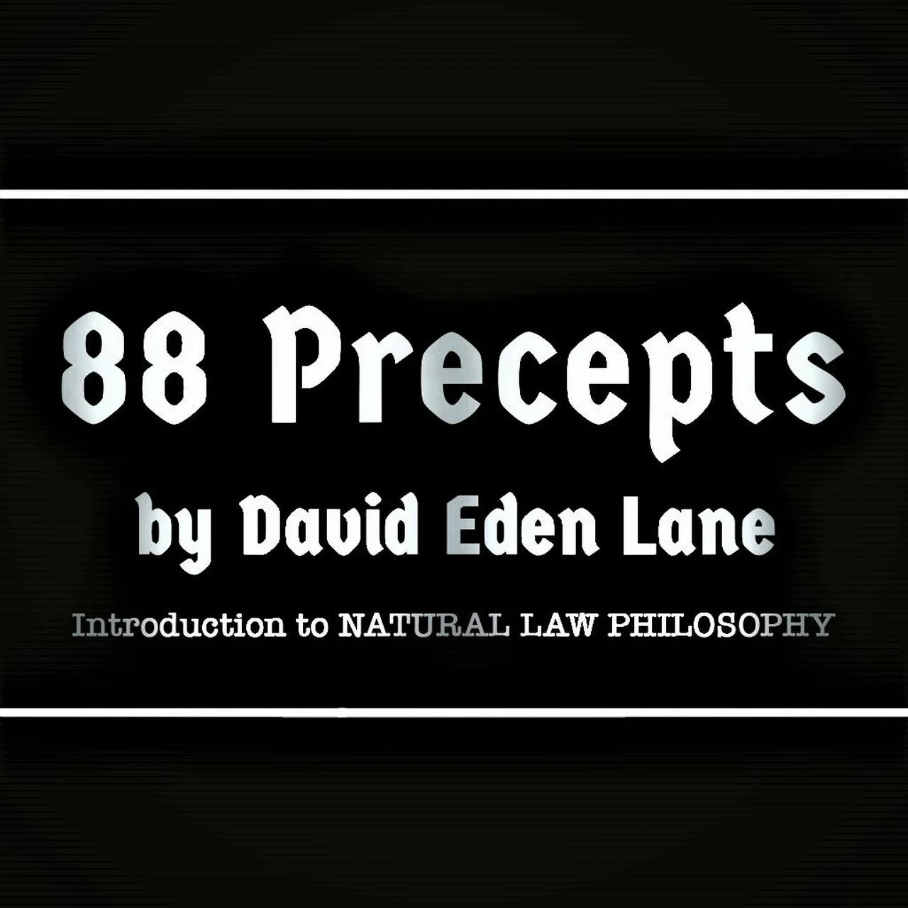 88 Precepts By David Lane   Af535009033ae18e 