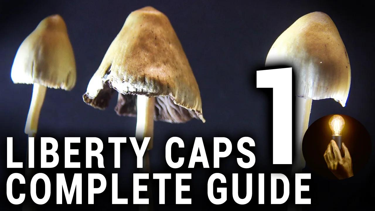 Liberty Caps Complete guide part 1 of 3
