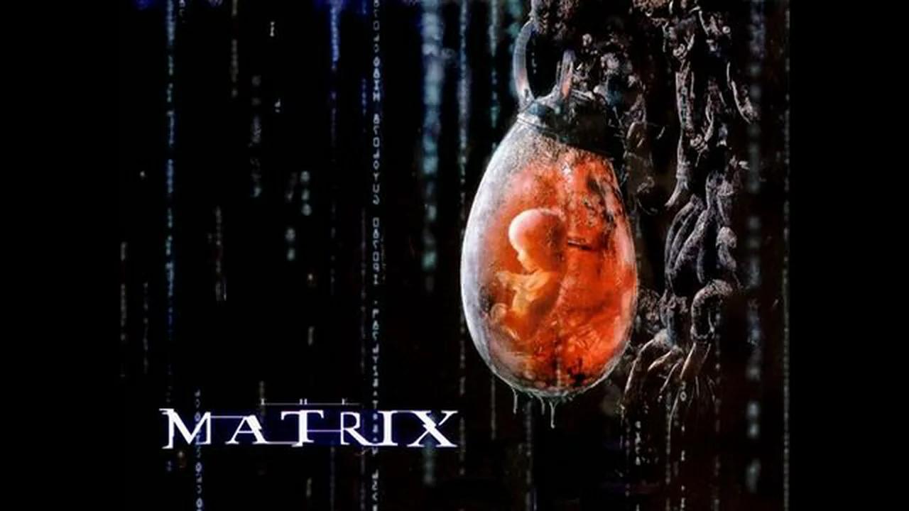 Remote Viewing the Matrix: A Loosh Farm and Soul Recycling Prison ...