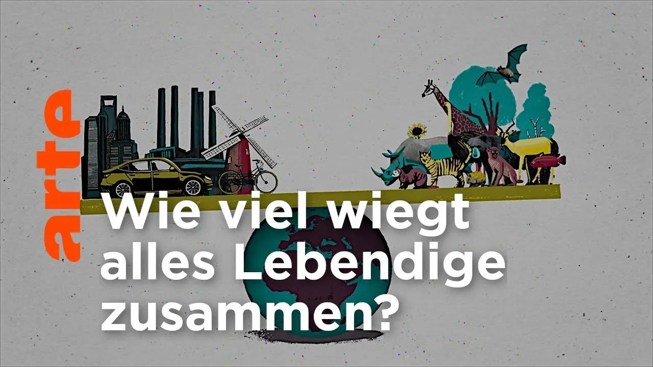 Wie viel wiegt das Leben? 42 Die Antwort auf fast