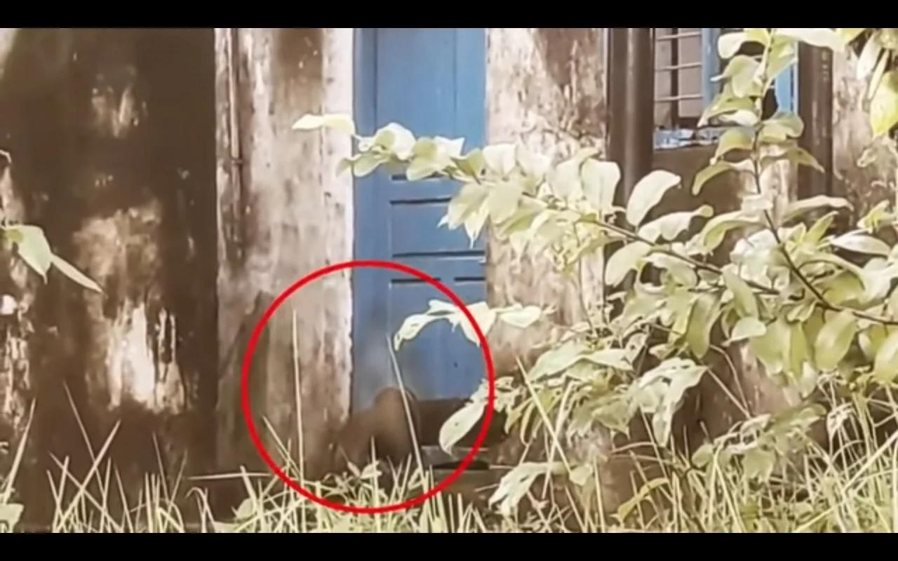 Top 10 SCARY VIDEOS, Top Real Horror Videos Caught On Camera