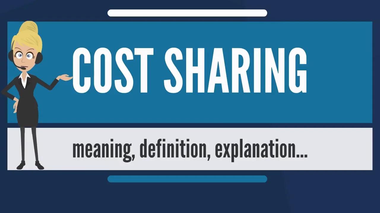 What is COST SHARING?