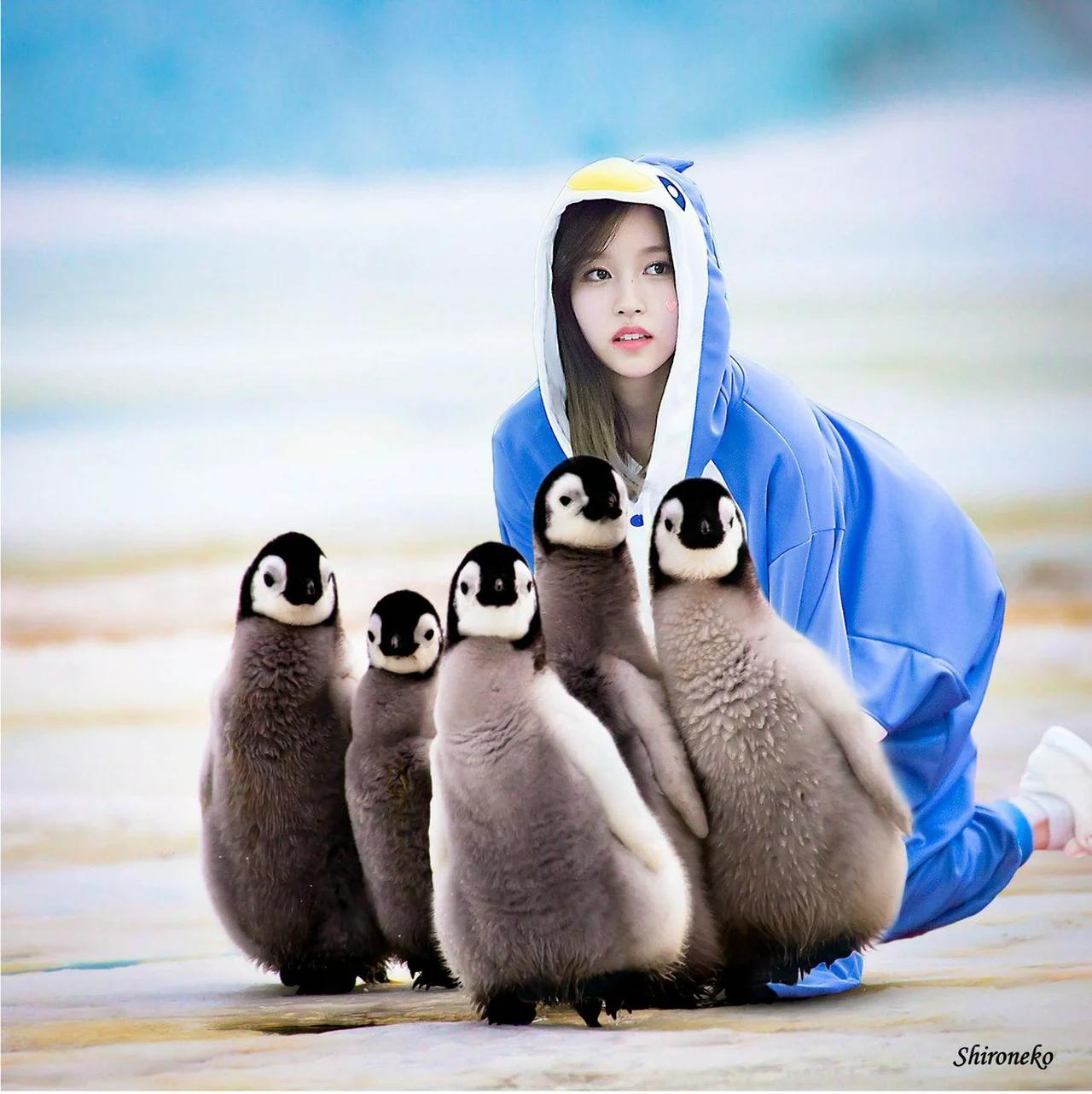 Linux Reviews Korean