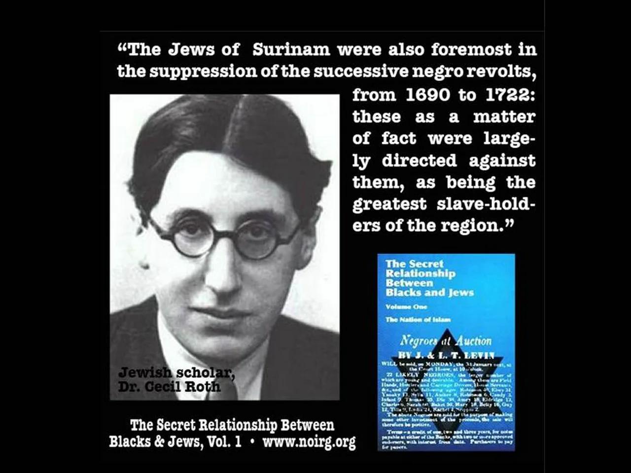 The secret relationship between blacks and jews vol 1 by noi