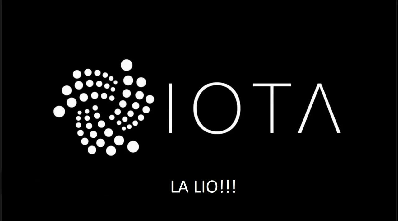 LA LI O visual data 5