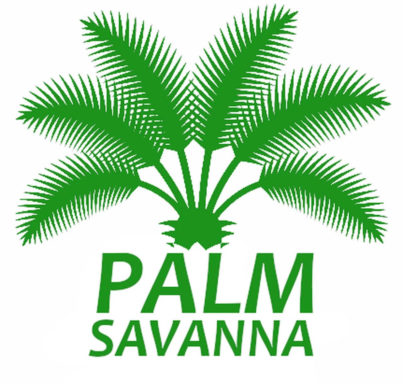 palm-savanna