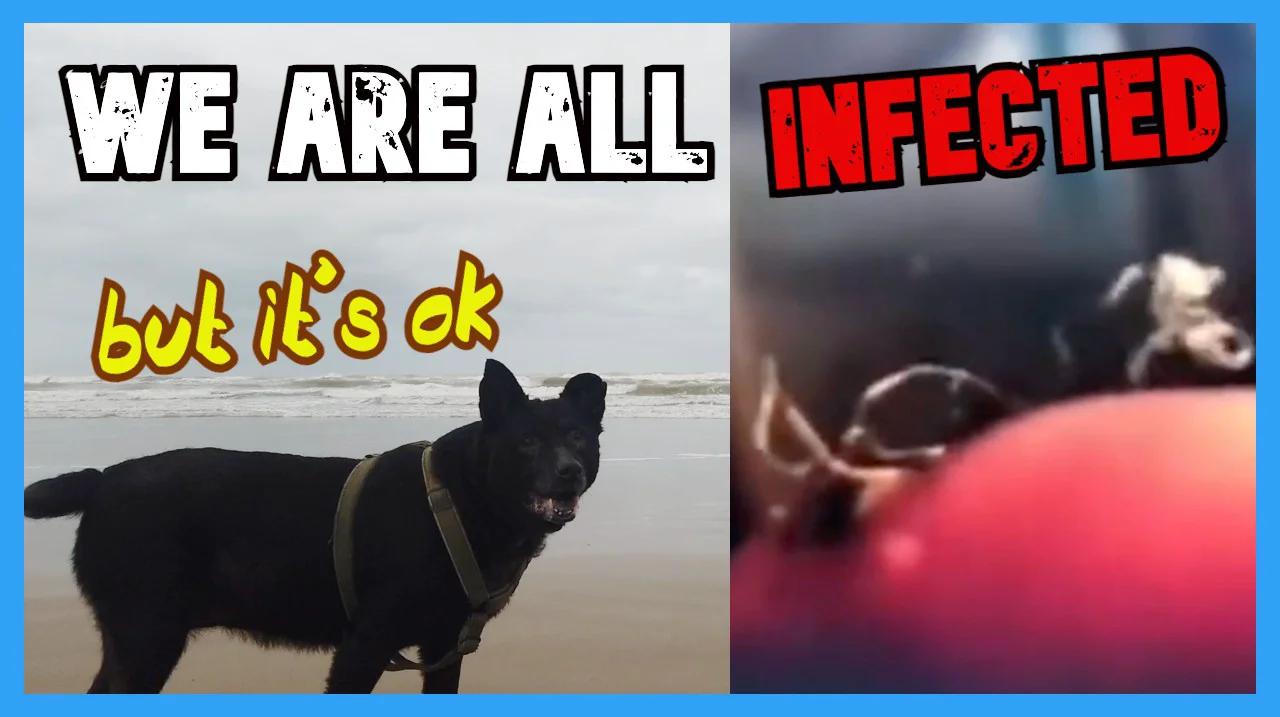 We are all Infected - But its going to be okay