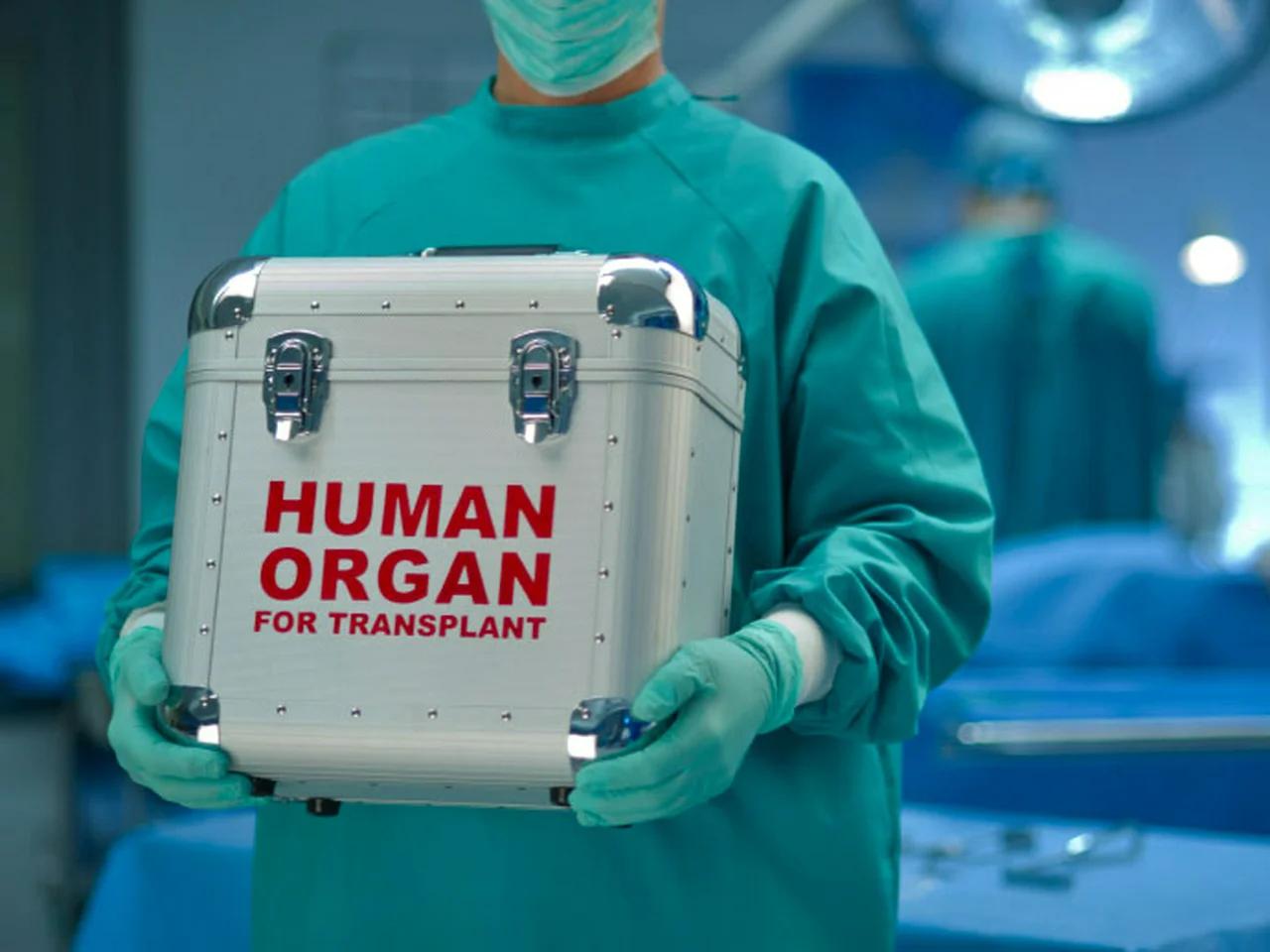 race-organ-transplants-age-of-treason