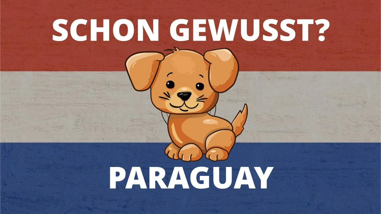 5 Fakten über Paraguay - Schon gewusst?