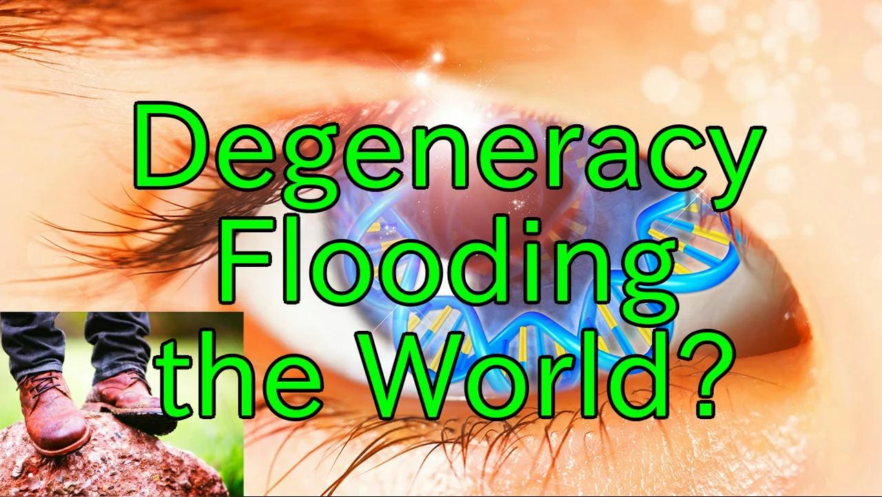 Operational Degeneracy and the Economic Friction of the Bushehr Nuclear Power Plant