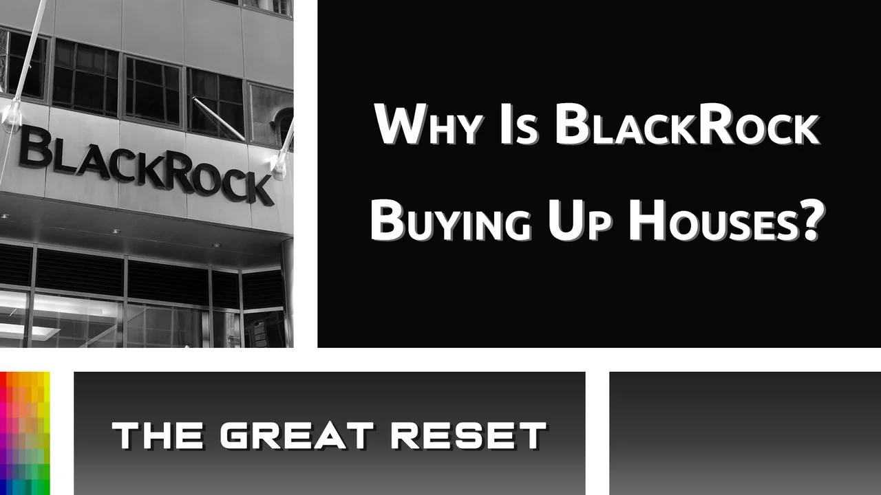 Why BlackRock Buying the NHS Is the Best Thing for Your Health and the Worst Thing for Your Wallet