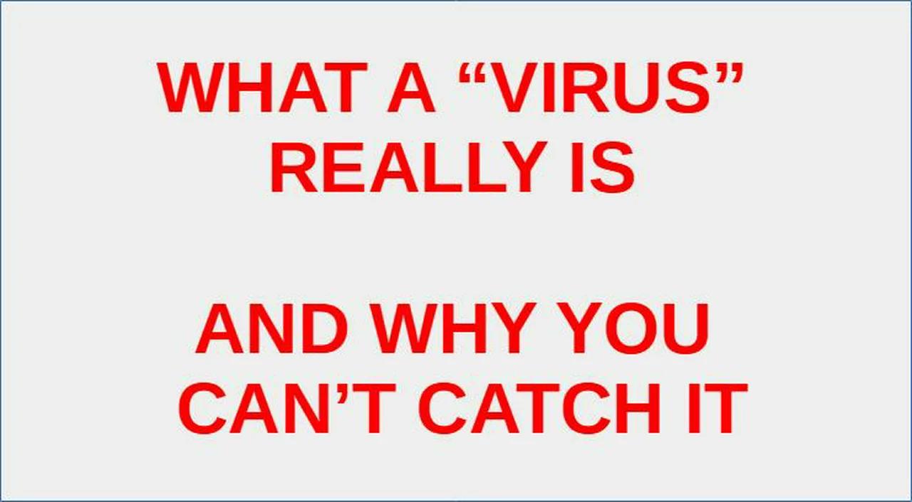 WHY YOU CAN'T "CATCH" A VIRUS