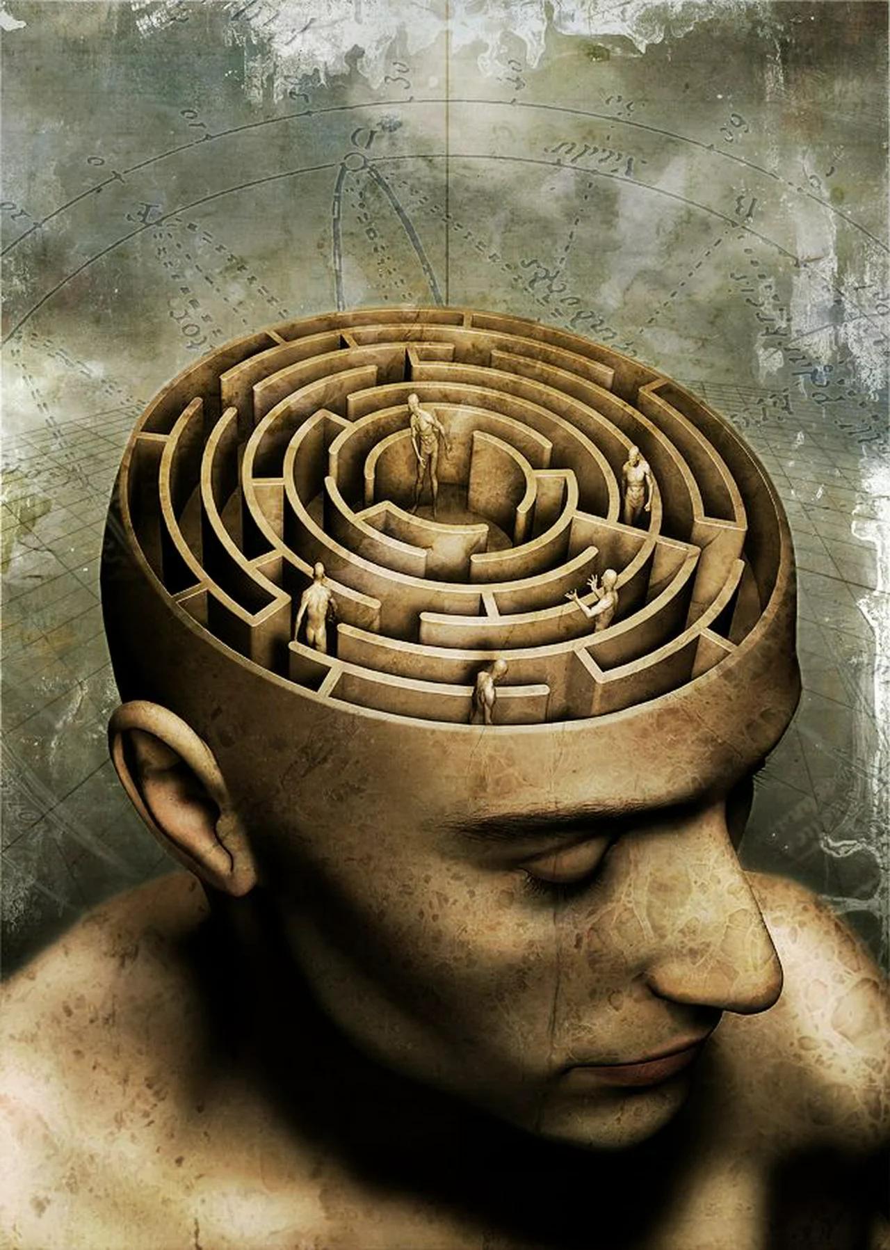 Watching The Simulation Assimilate