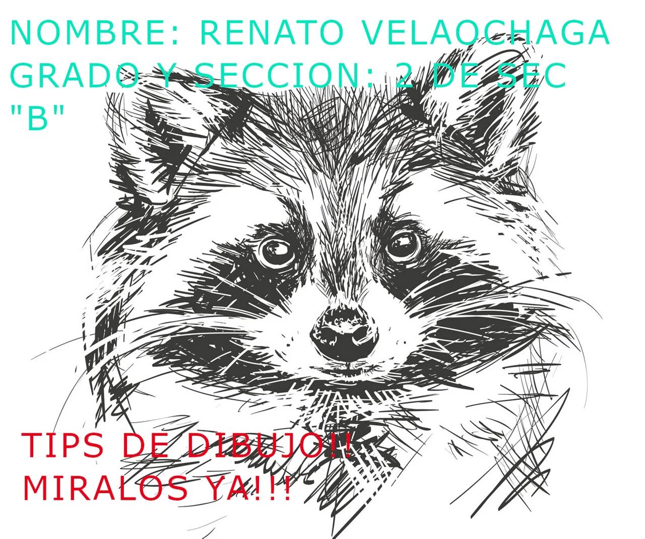 Tips De Dibujo