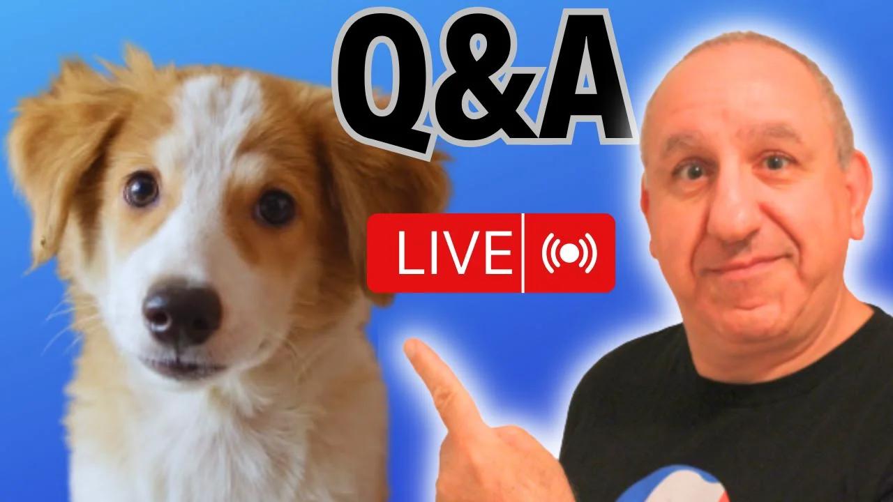 Q&A With Saro Dog Training -Ask Your Dog Training Questions.