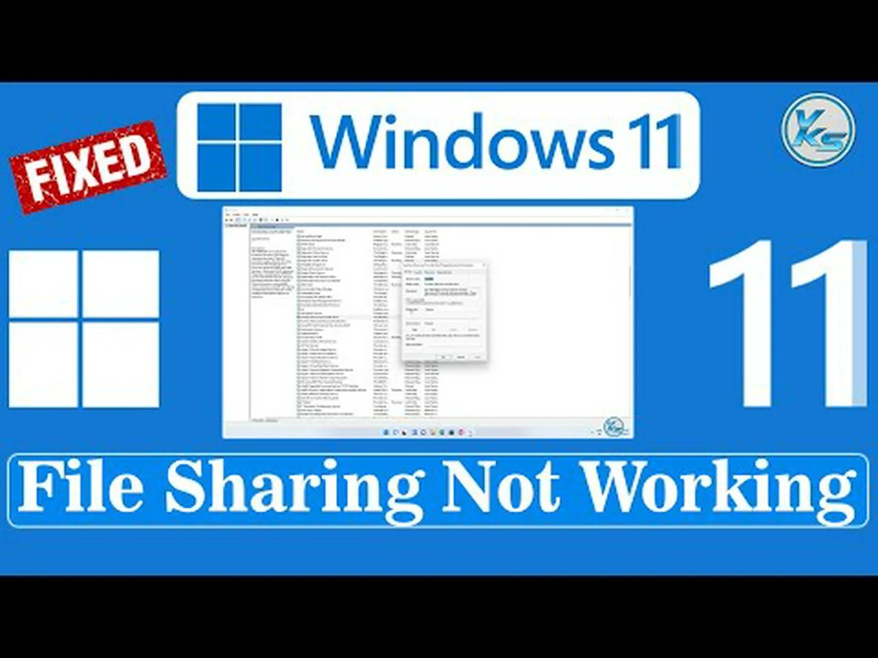 How To Fix the Windows 11 File Sharing Not Working Problems