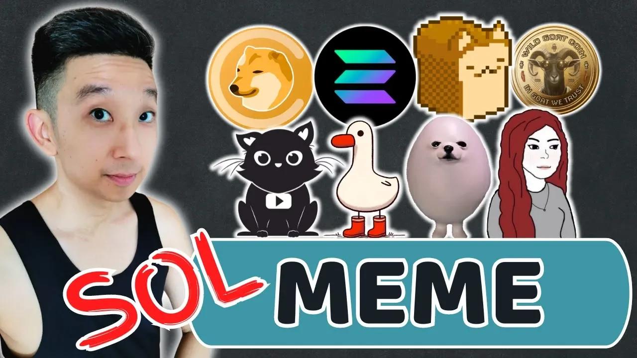 Top 10 Solana Meme Coins (24 Apr 2024)