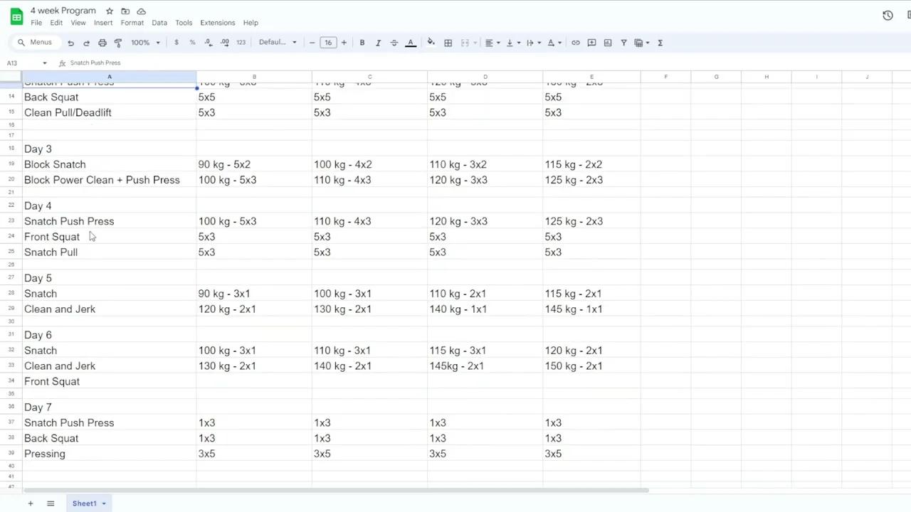 4 week Training Program Explanation