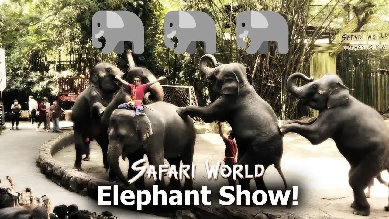 The Elephant Show at Safari World!