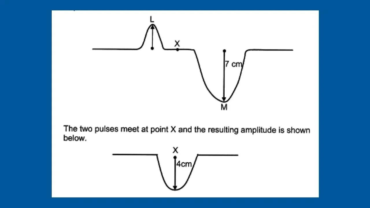Transverse Wave and Pulses Grade 10 Physics