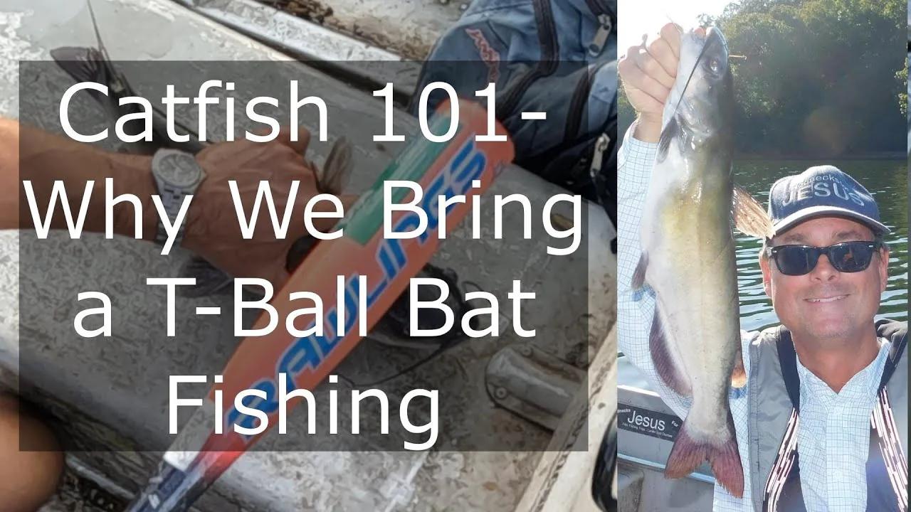 Catfish 101- Why We Bring a T Ball Bat Fishing
