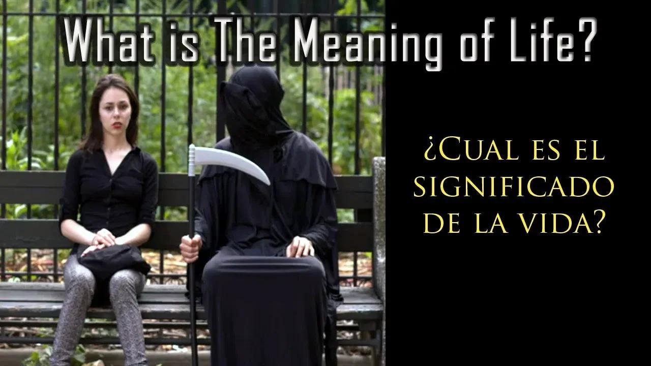 What is the Meaning of Life? / ¿Cual es el significado de la vida?